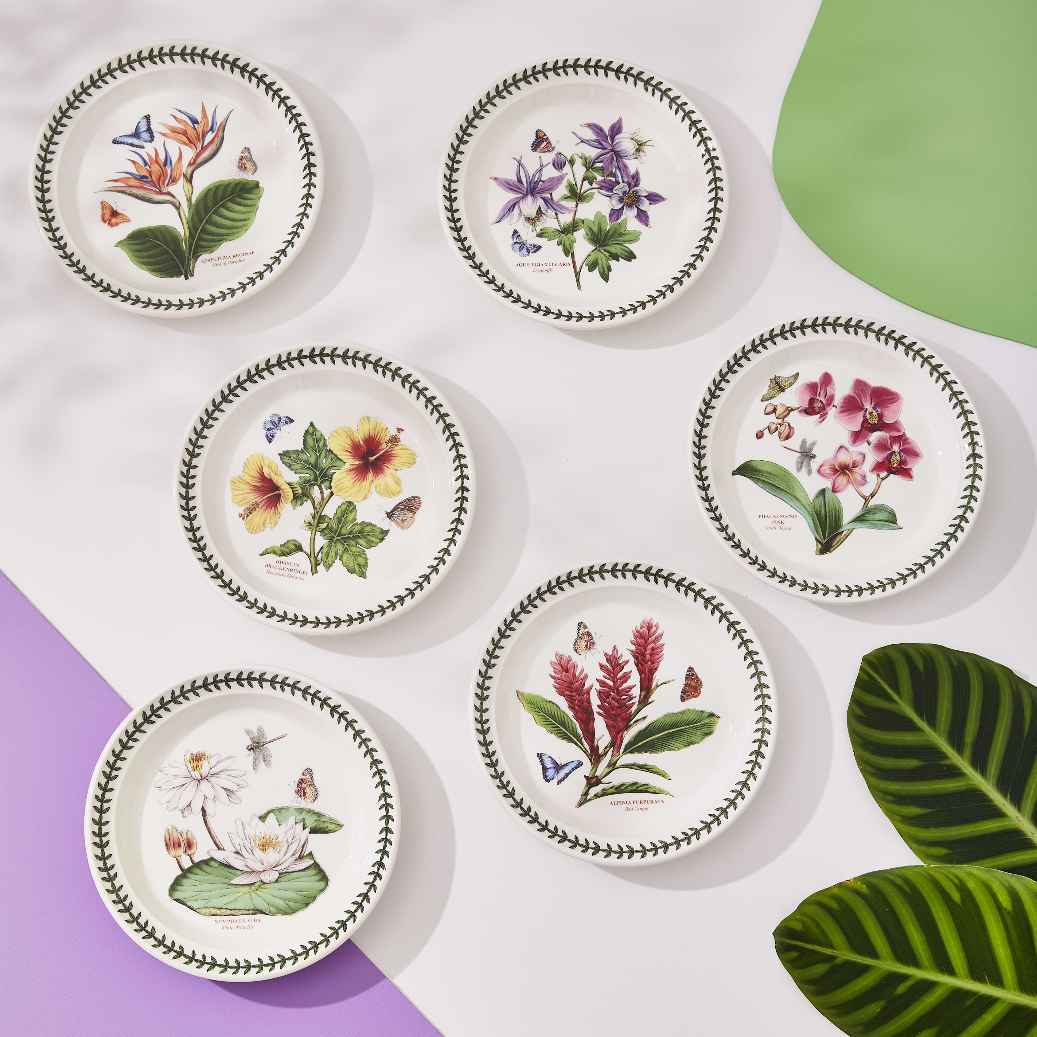 Exotic Botanic Garden Plate Set, 8.5 Inch image number null